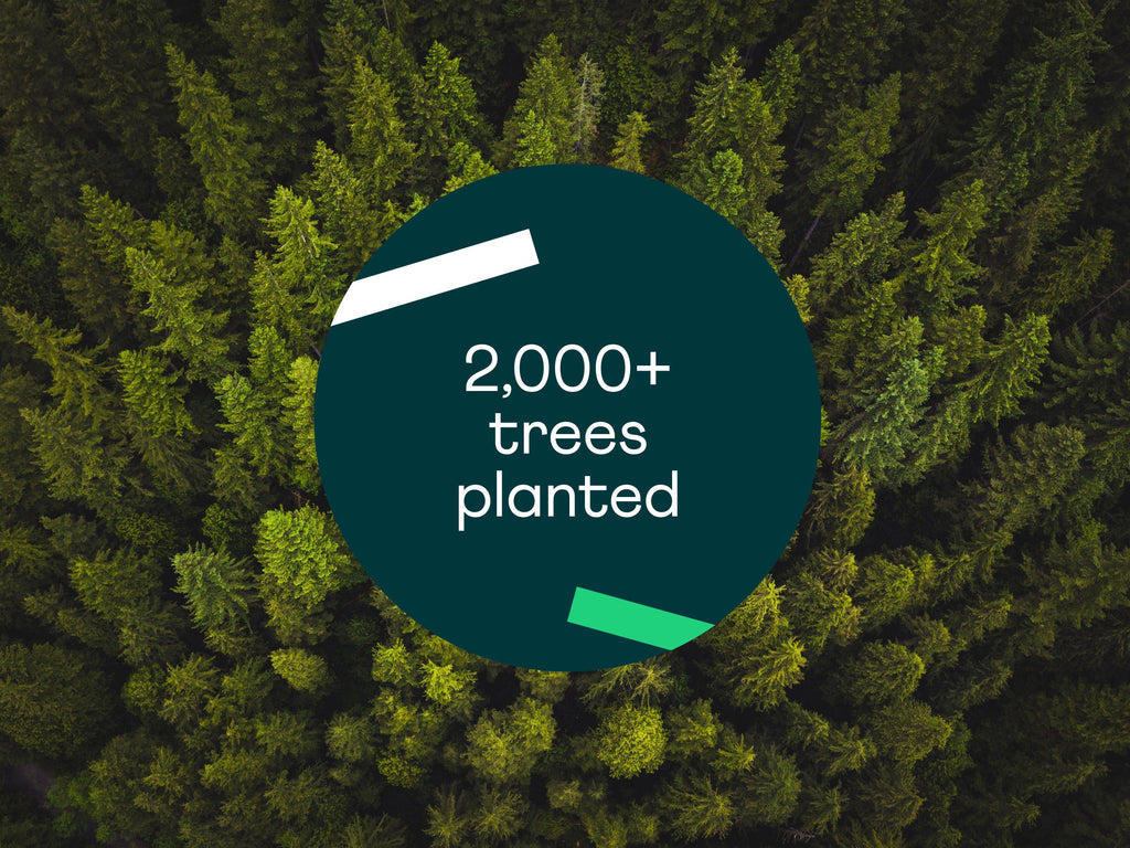 Over 2,000 trees planted